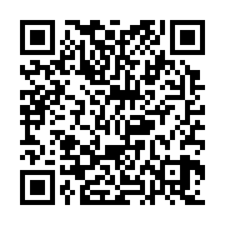 QR code for QHDS29