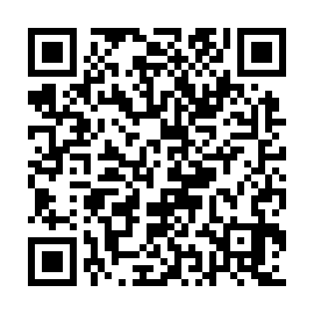 QR code for QICO33