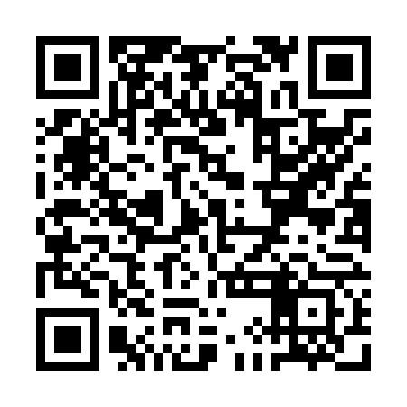 QR code for QIHN63