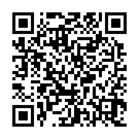QR code for QINS32