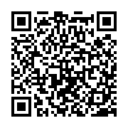 QR code for QIV541