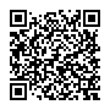 QR code for QIZ950