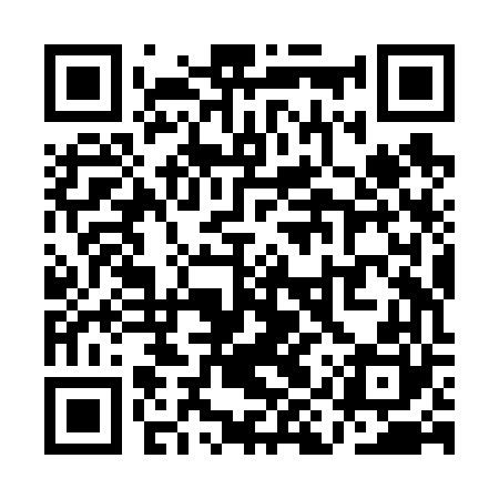 QR code for QIZV60