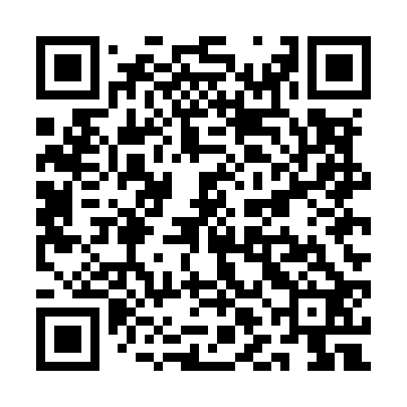 QR code for QLEM22