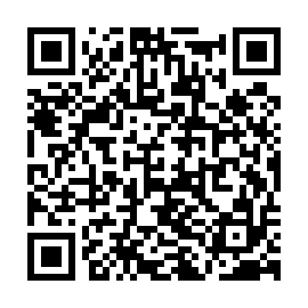 QR code for QLIE12