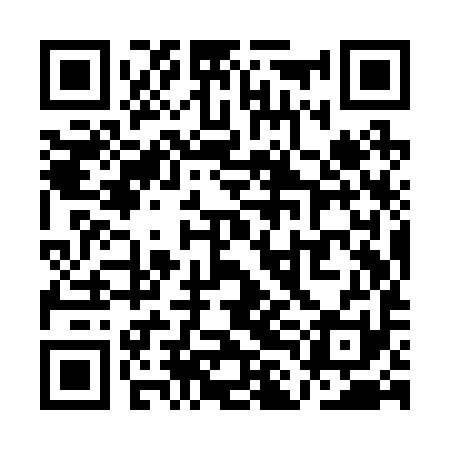 QR code for QLIR91