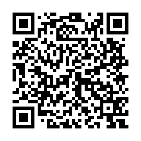QR code for QLQ575
