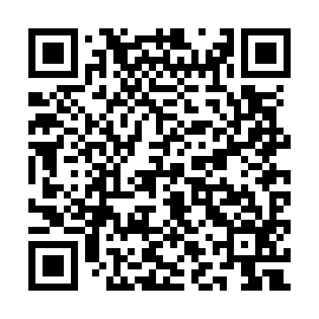 QR code for QLRO96