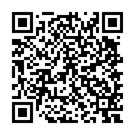 QR code for QLU493