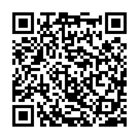 QR code for QLX599