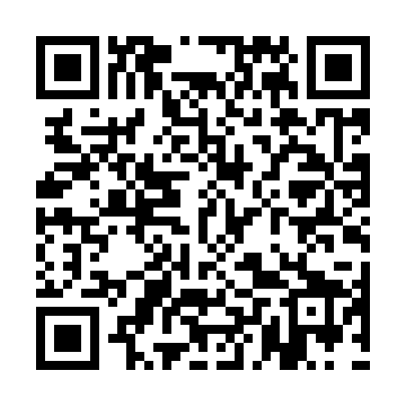 QR code for QLZI29
