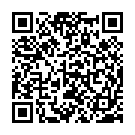 QR code for QMAP13