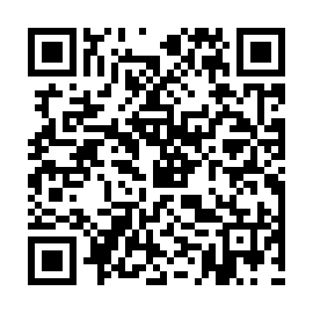 QR code for QMSI95