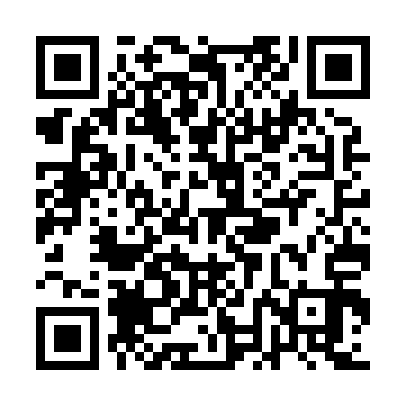 QR code for QNGH13