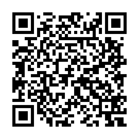 QR code for QNH519