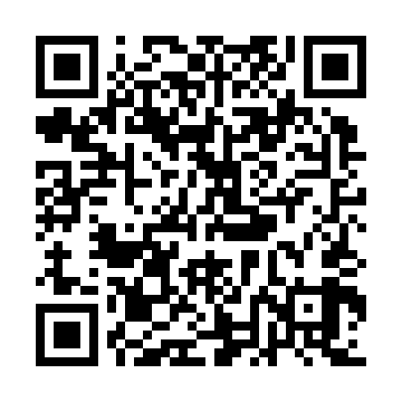QR code for QNLK49