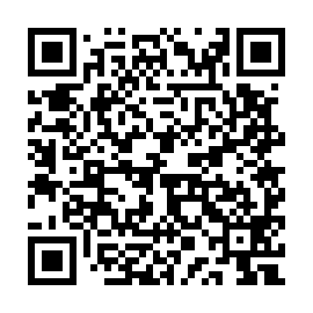 QR code for QPG599
