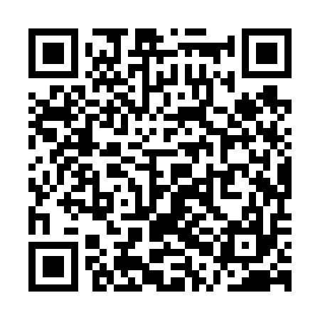 QR code for QPHV17