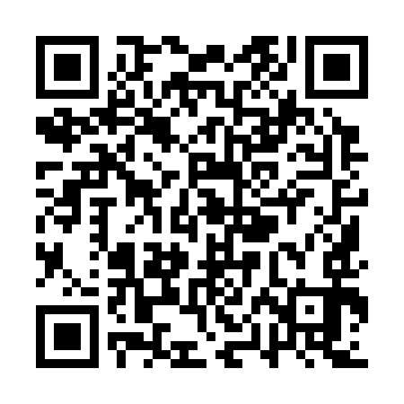 QR code for QPI393