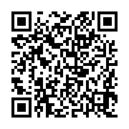 QR code for QPJ593