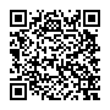 QR code for QPU029