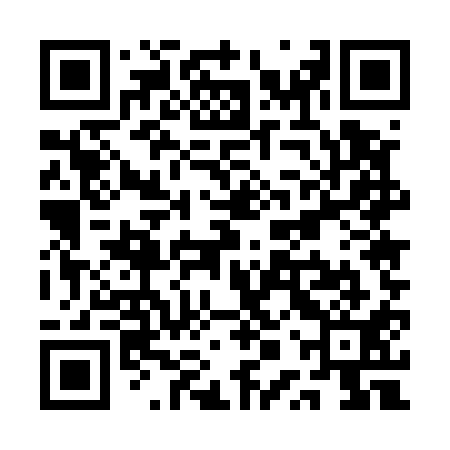QR code for QPU511