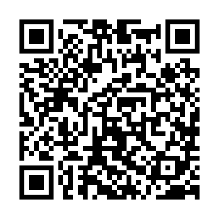 QR code for QPX289