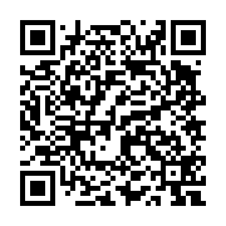 QR code for QQZ419