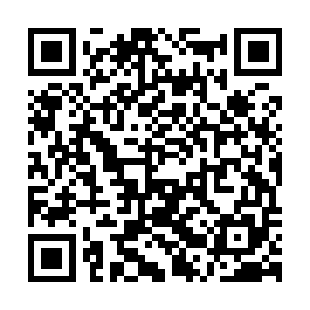 QR code for QRZI55