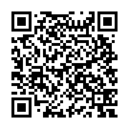 QR code for QSG739