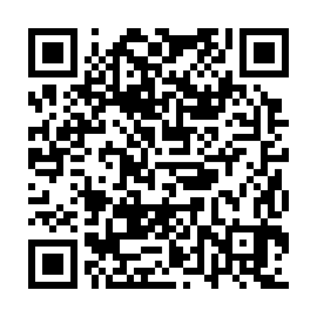 QR code for QTR383