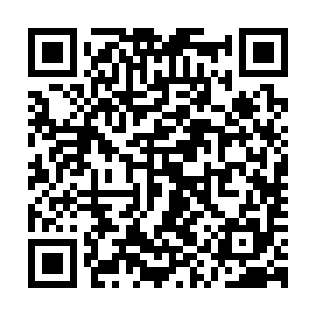QR code for QYR395
