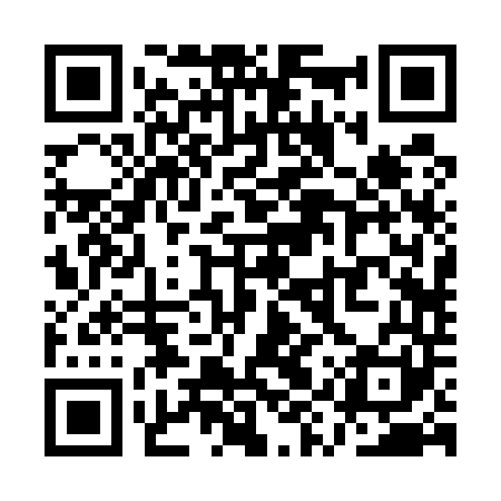 QR code for QYR541