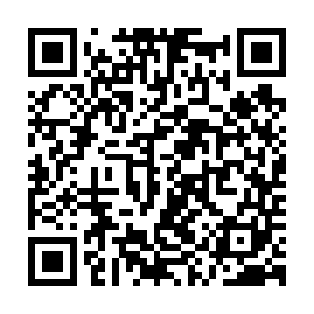 QR code for QYS641