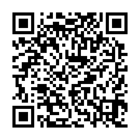 QR code for QYZ311