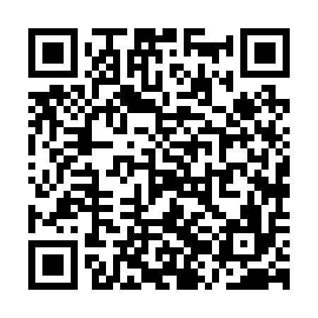 QR code for QZH216