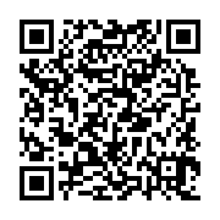QR code for QZL385