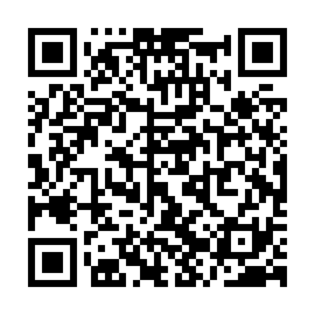 QR code for QZPJ31