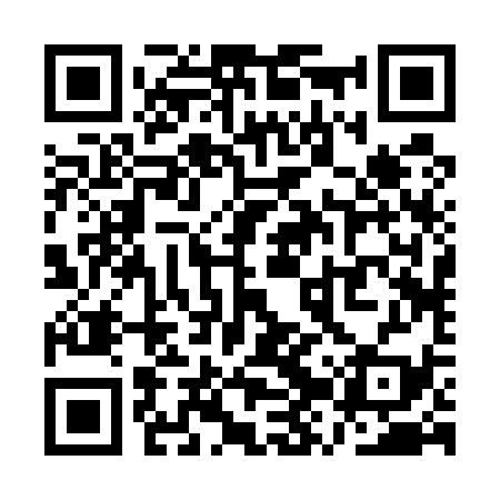 QR code for QZR539