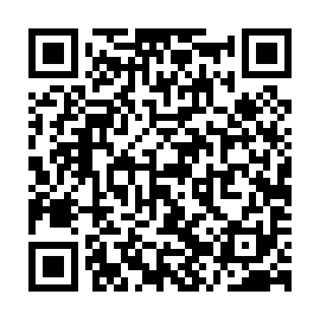 QR code for QZT091