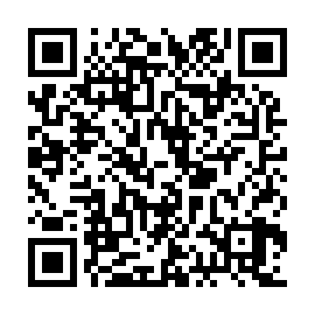 QR code for RAAI28