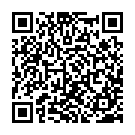 QR code for RAT384
