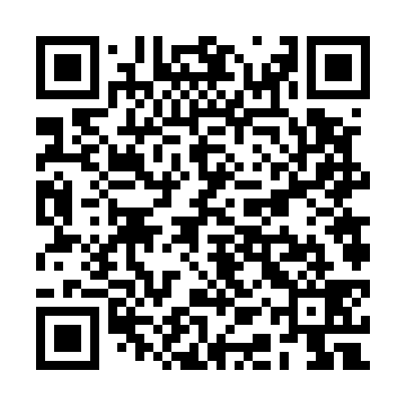 QR code for RAV539