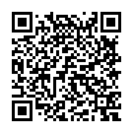 QR code for RAY871