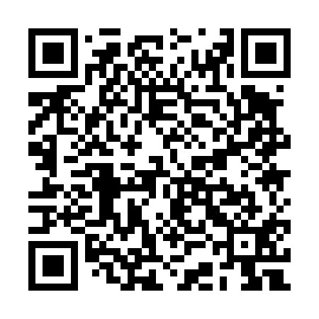 QR code for RCA411