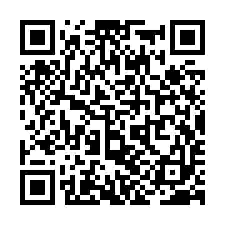 QR code for RICZ93
