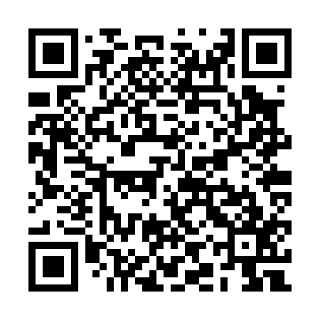 QR code for RIRP17