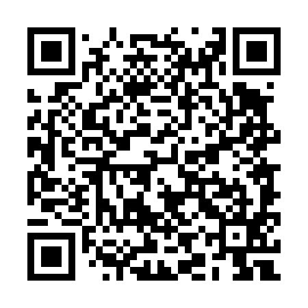 QR code for RIT495