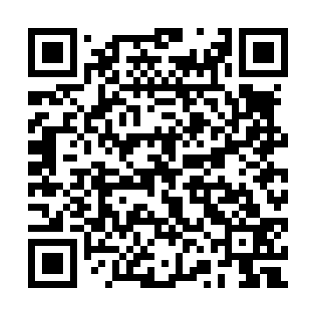 QR code for RVGL33