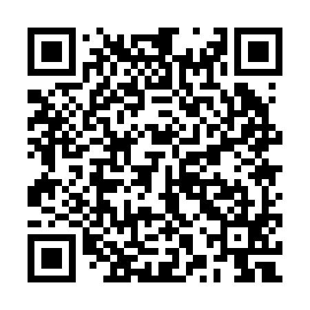 QR code for RXQ295